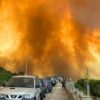 Feuer auf Sardinien