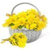 International Women's Day Italy
