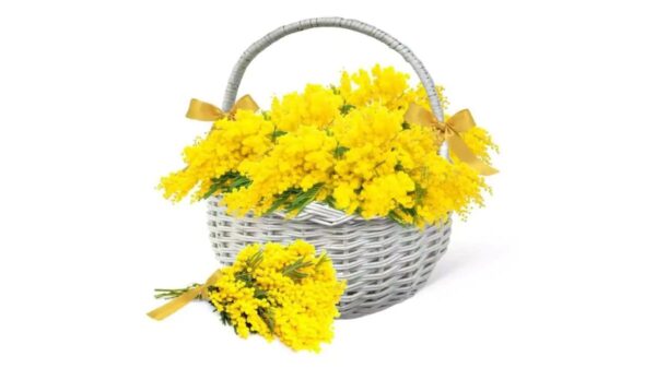 International Women's Day Italy