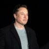 Elon Musk italianos extintos