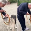 Bocelli adota cachorro surdo