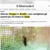 Italy dengue