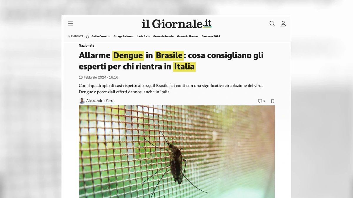 italia dengue