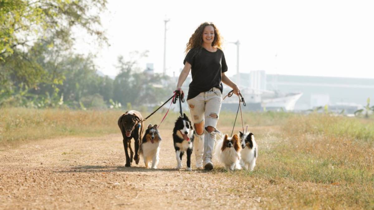 Trajeto de 200 km começou em Assis e terminará no Vaticano.