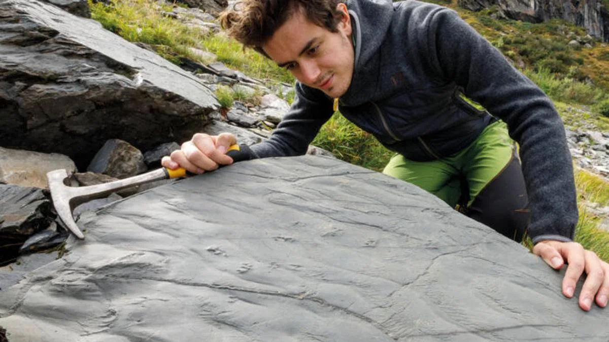 El sitio arqueológico fue descubierto por casualidad por un excursionista.