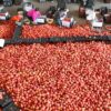 Foto aérea de trabalhadores embalando tomates em mercado na China - Xia Tianyu - 19.dez.2023/Xinhua