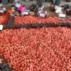 Foto aérea de trabalhadores embalando tomates em mercado na China - Xia Tianyu - 19.dez.2023/Xinhua