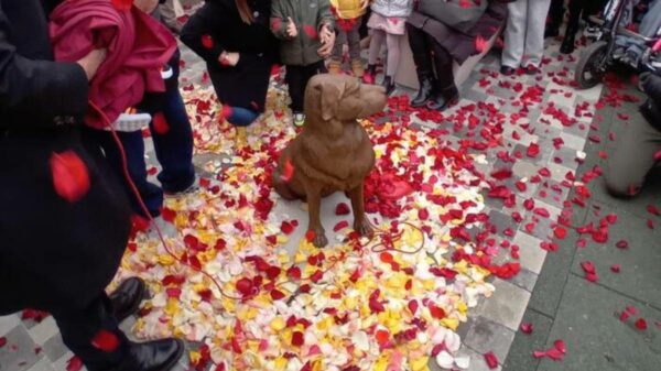 Kyra tornou-se símbolo da solidariedade e do amor em Livorno.