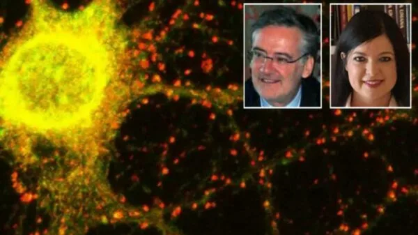 Secondo uno studio, cambiamenti rari innescano malattie in età avanzata.