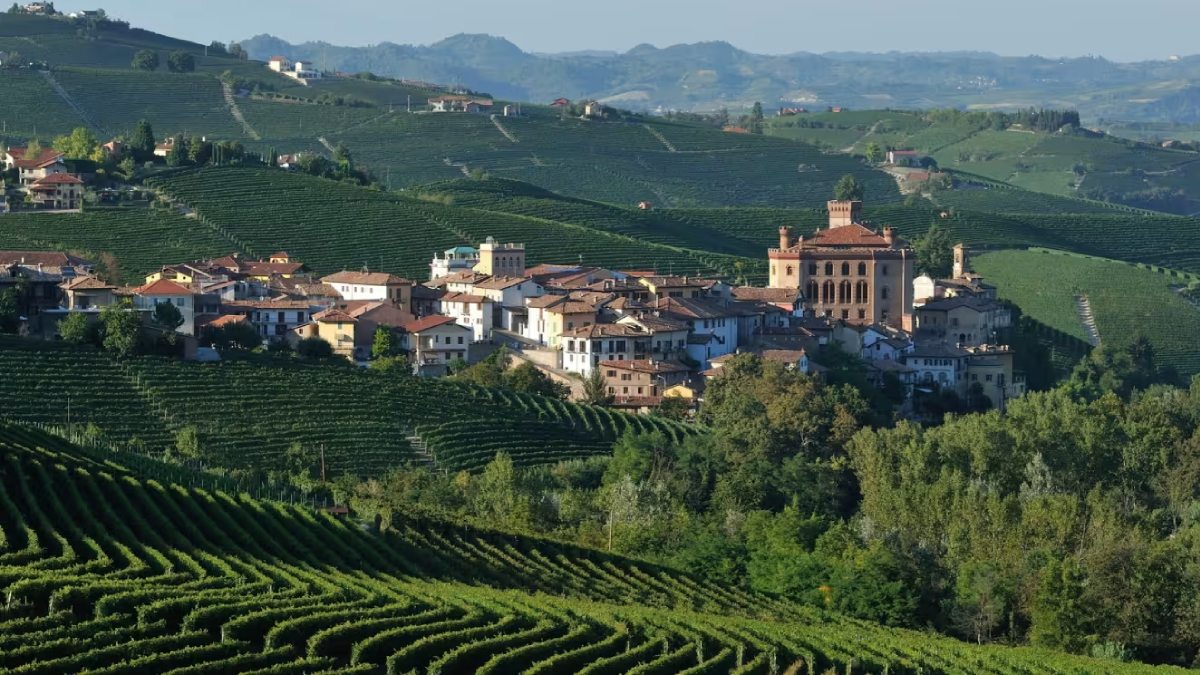 Região de Langhe, no Piemonte, lar de vinhos como Barolo e Barbaresco | Foto: Alamy