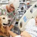 Animais de estimação devem cumprir protocolo antes da entrada.