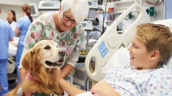 Animais de estimação devem cumprir protocolo antes da entrada.