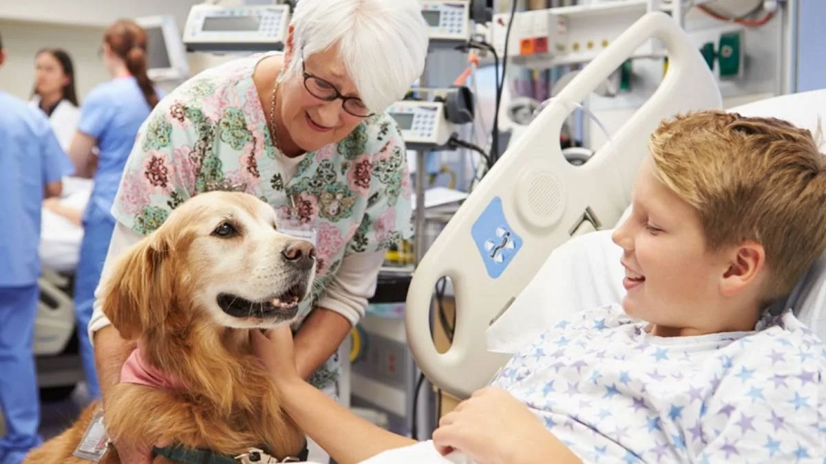 Animais de estimação devem cumprir protocolo antes da entrada.