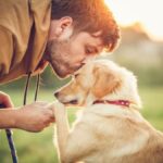 Negócios que vendem animais de estimação tiveram queda.