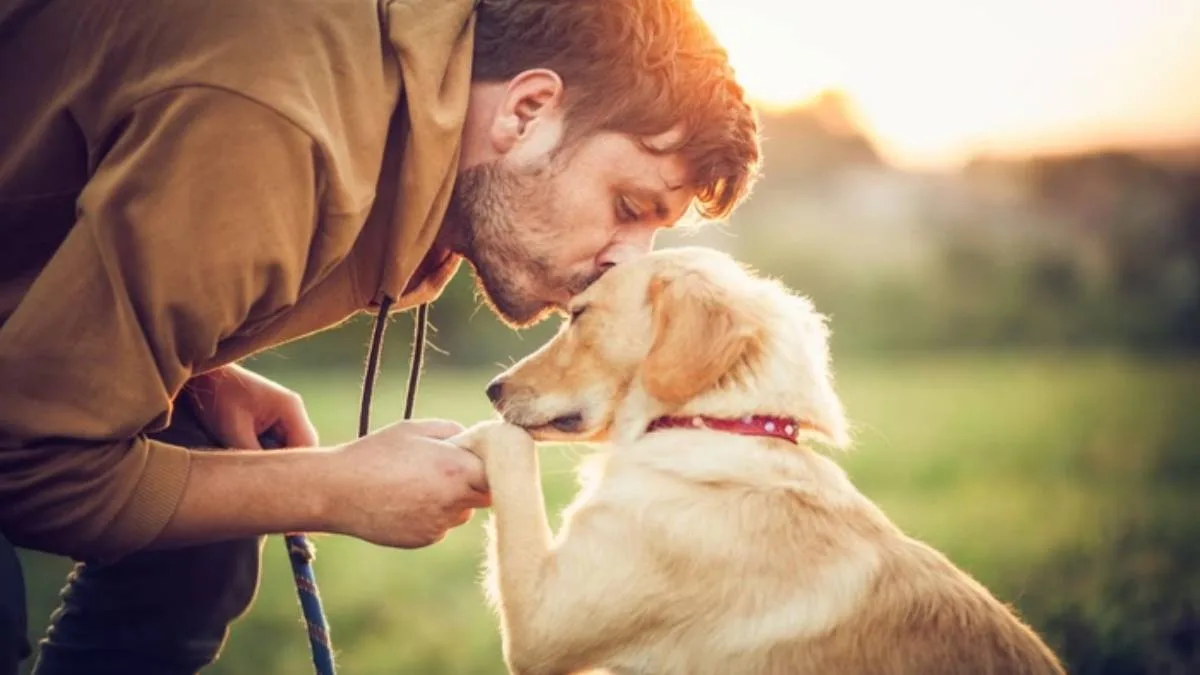 Negócios que vendem animais de estimação tiveram queda.