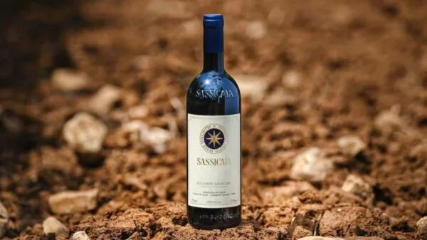 Sassicaia, produzido em Bolgheri, é um dos vinhos italianos mais premiados do mundo | Foto: Divulgação