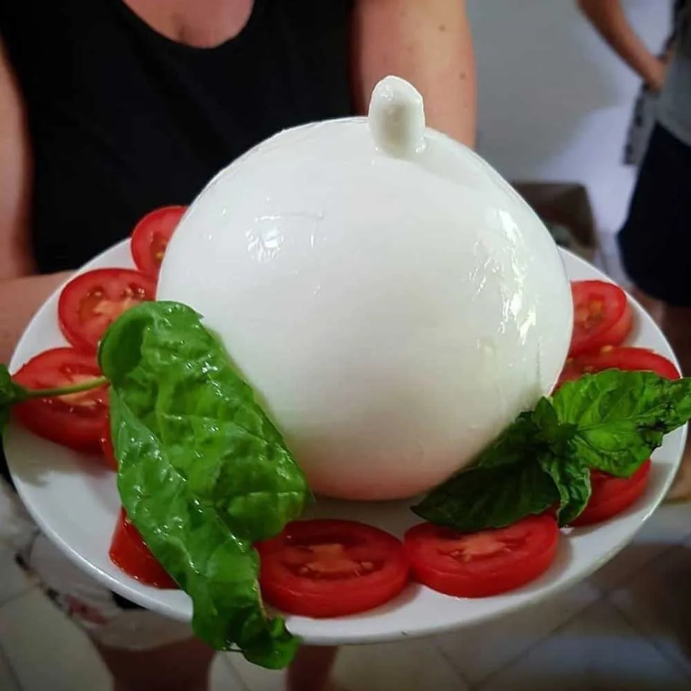 Zizzona di Battipaglia