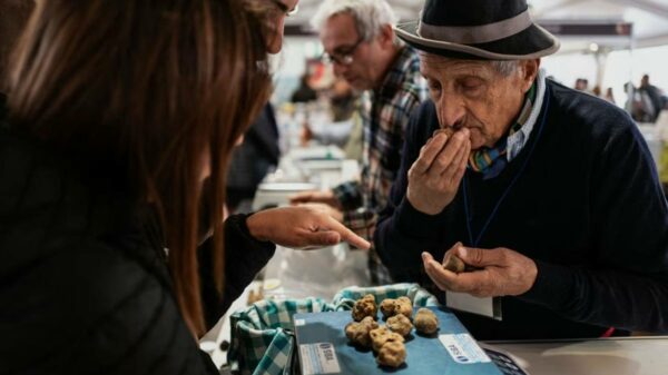 Visitors taste and smell truffles during the Alba International White Truffle Fair in Piedmont.