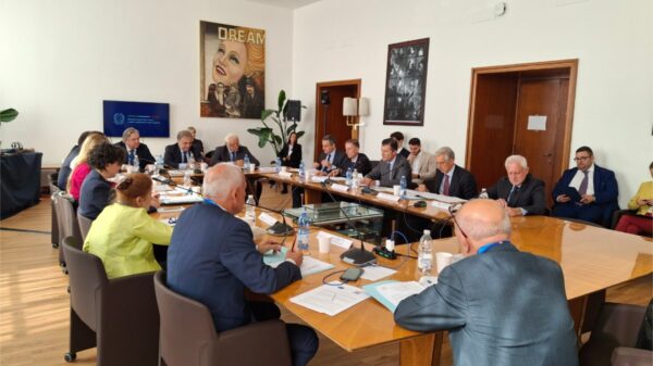Nel corso dell'incontro, il CGIE chiede modifiche alla legge sulla cittadinanza e ribadisce l'importanza della diaspora per il futuro dell'Italia.