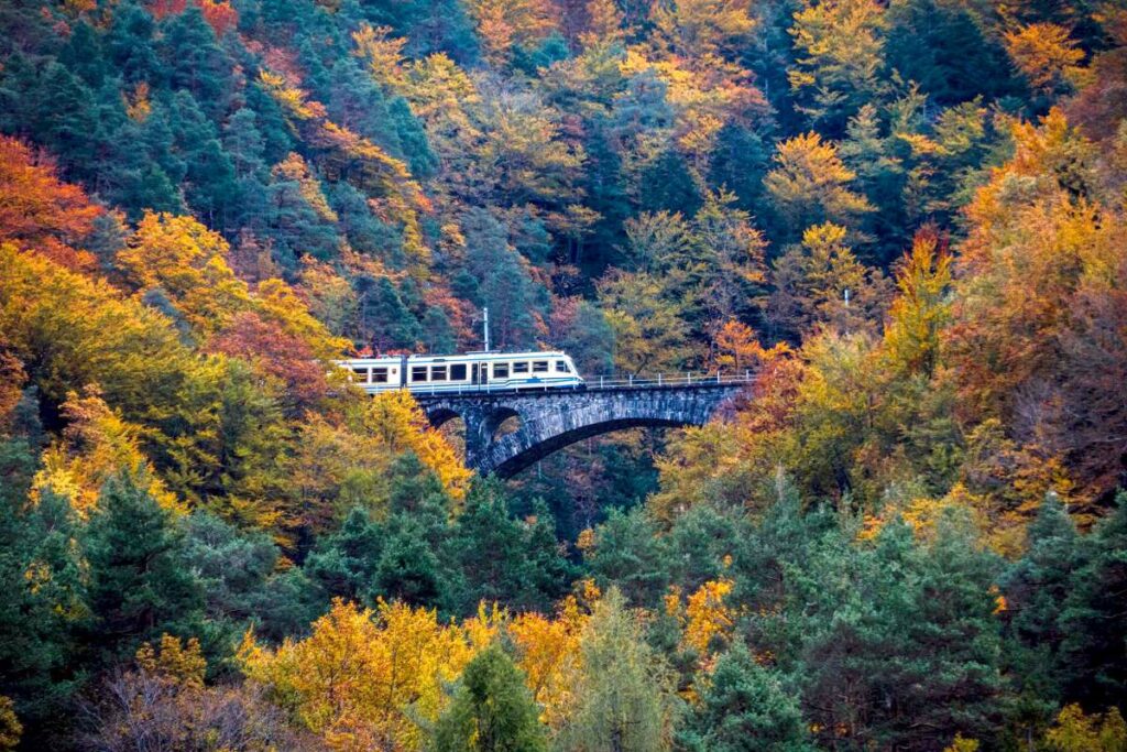 Viagem no Trem das Folhagens revela vales, florestas e vilarejos entre Locarno e Domodossola