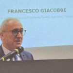 Francesco Giacobbe representa italianos no exterior no Senado desde 2013.