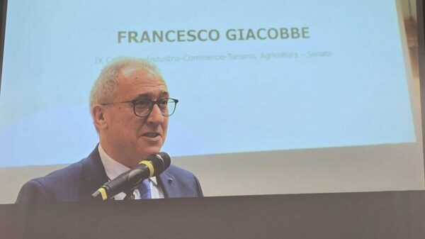 Francesco Giacobbe representa italianos no exterior no Senado desde 2013.