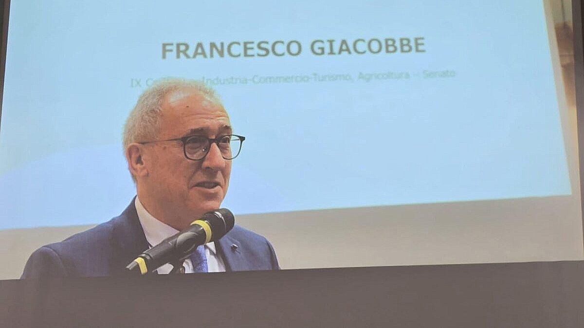 Francesco Giacobbe representa italianos no exterior no Senado desde 2013.
