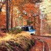 Legenda 1: Trem da Ferrovia Vigezzina Centovalli atravessa paisagens alpinas entre Suíça e Itália