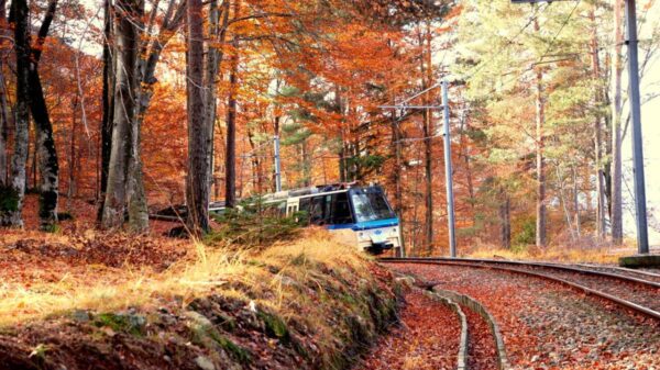 Legenda 1: Trem da Ferrovia Vigezzina Centovalli atravessa paisagens alpinas entre Suíça e Itália