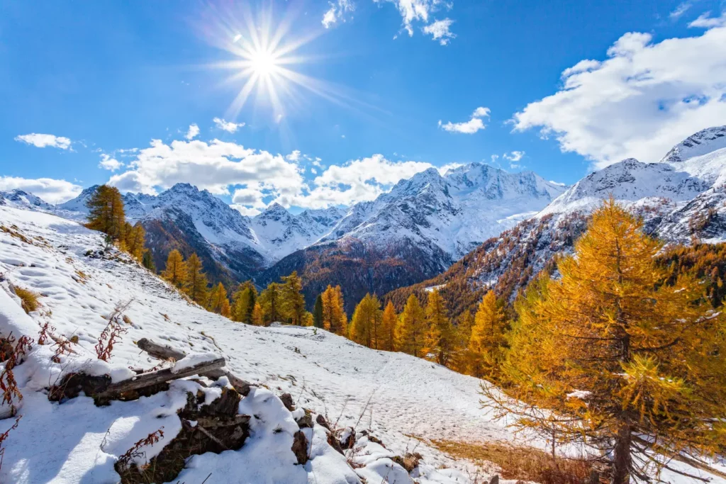 Paisagem alpina da Valtellina: sol, neve e florestas douradas em perfeita harmonia.