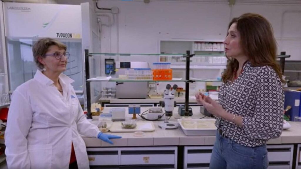 Estreia série na TV Cultura que mostra o impacto global da inovação italiana, em parceria com o Consulado da Itália