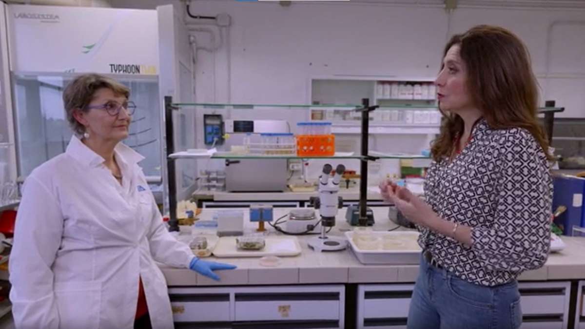 Estreia série na TV Cultura que mostra o impacto global da inovação italiana, em parceria com o Consulado da Itália