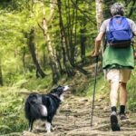 Pesquisadores descobriram na Ligúria a evidência mais antiga da relação entre humanos e cães.