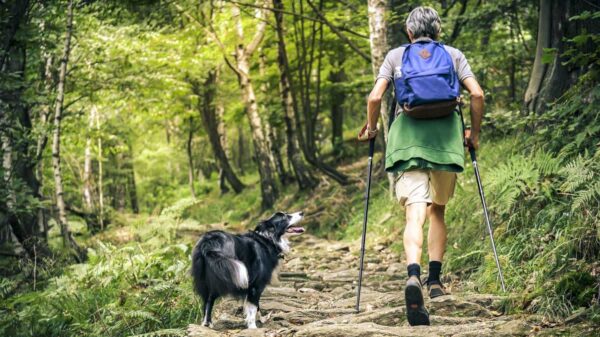 Pesquisadores descobriram na Ligúria a evidência mais antiga da relação entre humanos e cães.