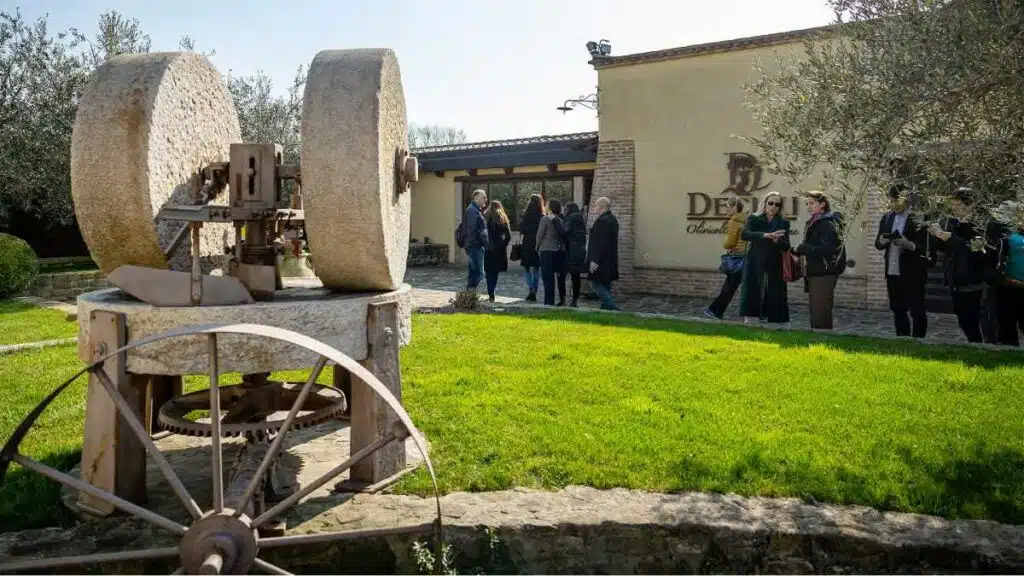 O azeite virou protagonista do turismo italiano e atrai visitantes com experiências sensoriais e de bem-estar.