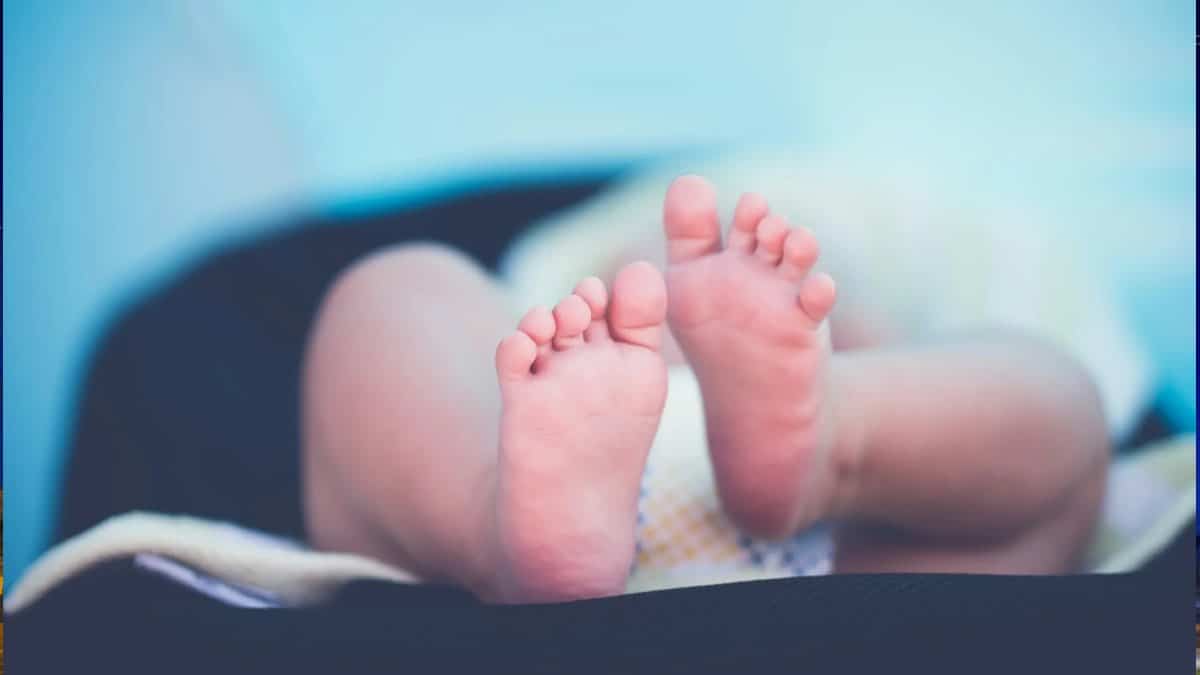 Roma e Milão celebram a chegada de 2026 com recorde de nascimentos logo após a meia-noite