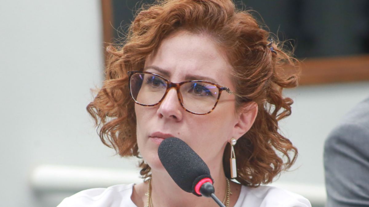 Prosecutor speaks of "sham citizenship" and defense points to lack of knowledge about jus sanguinis.