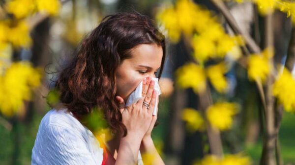 Alergia na Itália: veja o que pedir na farmácia para aliviar os sintomas