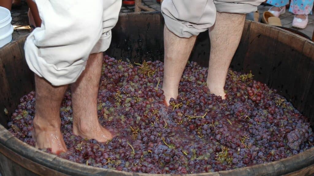 Uma tradição trazida pelos imigrantes italianos continua viva no Espírito Santo.