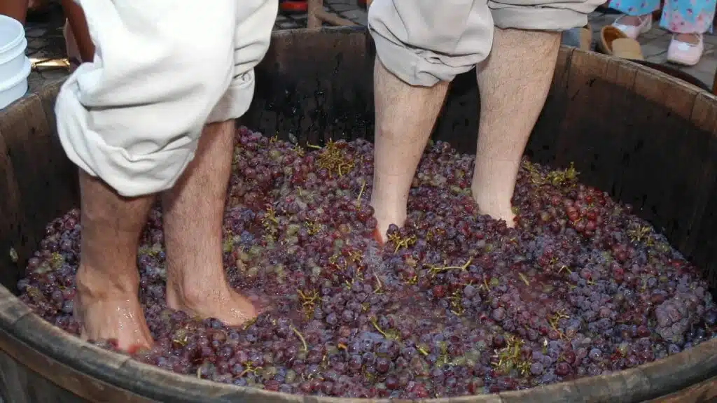 Une tradition apportée par les immigrants italiens continue de vivre à Espírito Santo.