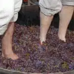 Uma tradição trazida pelos imigrantes italianos continua viva no Espírito Santo.