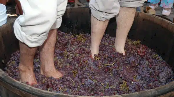 Uma tradição trazida pelos imigrantes italianos continua viva no Espírito Santo.