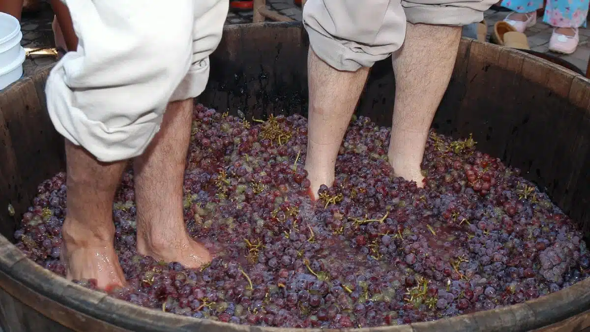 Uma tradição trazida pelos imigrantes italianos continua viva no Espírito Santo.