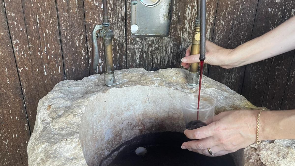 Turistas estão indo atrás dessa fonte de vinho grátis na Itália… vale mesmo a pena?
