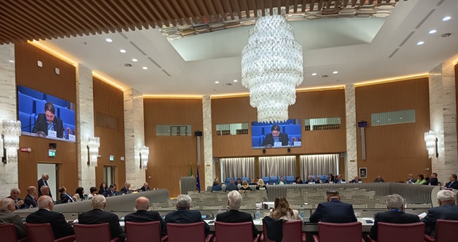 Mariano Gazzola durante discurso na reunião do Conselho Geral dos Italianos no Exterior (CGIE)
