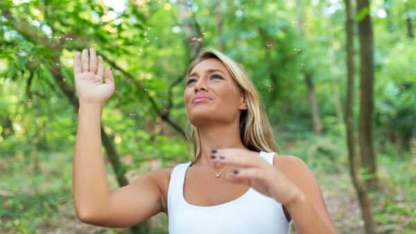 Entenda por que a Itália registra tantos mosquitos no verão e veja quais fatores favorecem a proliferação das zanzaras.