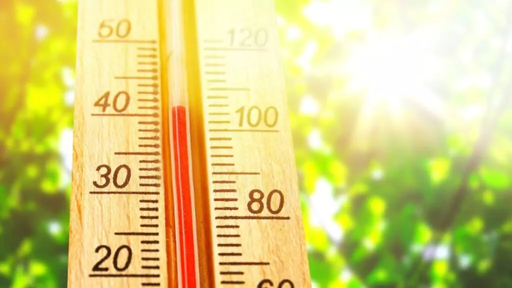 L'Italia sta entrando nella sua prima grande ondata di calore dell'estate 2026 e i dati sono allarmanti: si prevede che le temperature raggiungeranno i 40°C in diverse regioni.
