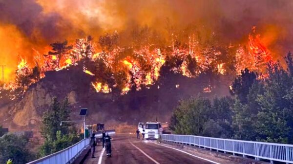 Roma registra 259 incêndios desde junho e Lazio alerta para novos focos