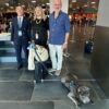 Geppino, Sharpei de 13 anos e 29 quilos, viajou na cabine de um voo da ITA Airways entre Palermo e Milão | Foto: reprodução/RaiNews