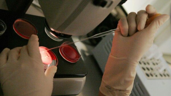 Troca de proveta no San Raffaele: embrião errado é implantado em paciente